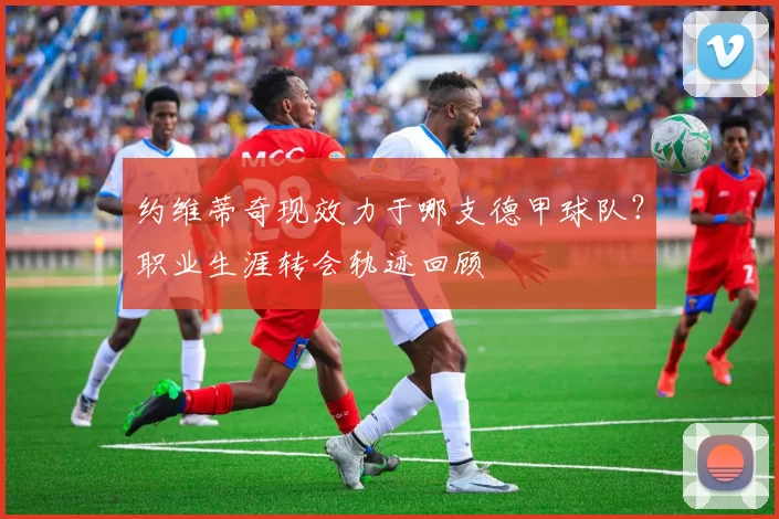 约维蒂奇现效力于哪支德甲球队？职业生涯转会轨迹回顾