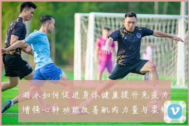 游泳如何促进身体健康提升免疫力增强心肺功能改善肌肉力量与柔韧性