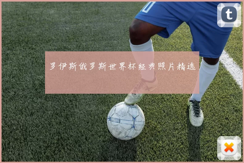 罗伊斯俄罗斯世界杯经典照片精选