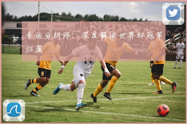 专访分析师：深度解读世界杯冠军归属