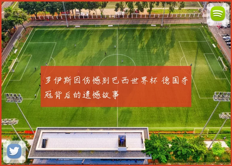 罗伊斯因伤憾别巴西世界杯 德国夺冠背后的遗憾故事