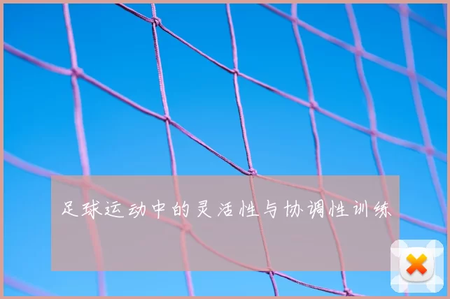 足球运动中的灵活性与协调性训练