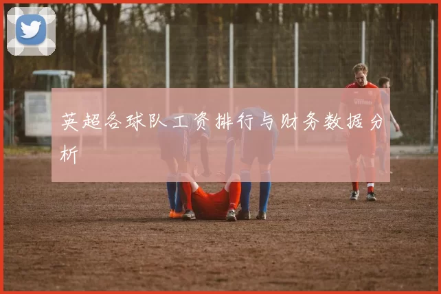 英超各球队工资排行与财务数据分析