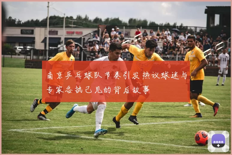 南京乒乓球队节奏引发热议球迷与专家各执己见的背后故事