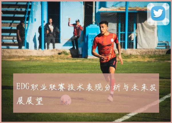 EDG职业联赛技术表现分析与未来发展展望