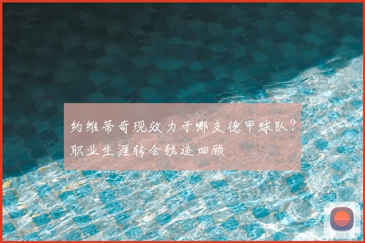 约维蒂奇现效力于哪支德甲球队？职业生涯转会轨迹回顾