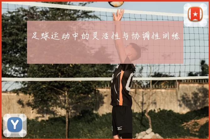 足球运动中的灵活性与协调性训练