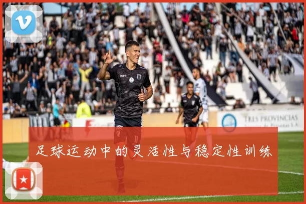 足球运动中的灵活性与稳定性训练