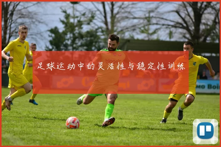 足球运动中的灵活性与稳定性训练